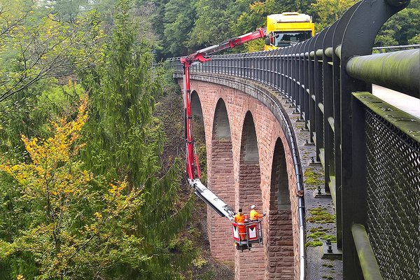 Pleiner Viadukt, Plein